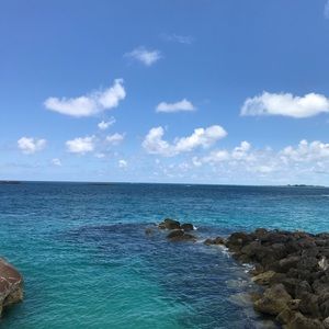 Meet your Posher, Rita